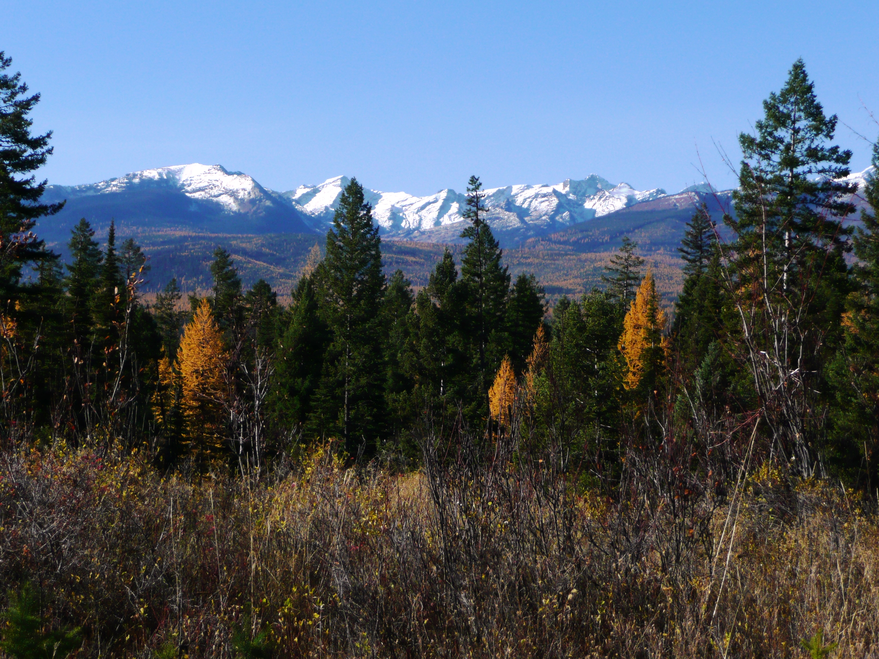 Late Autumn in the Swan Valley